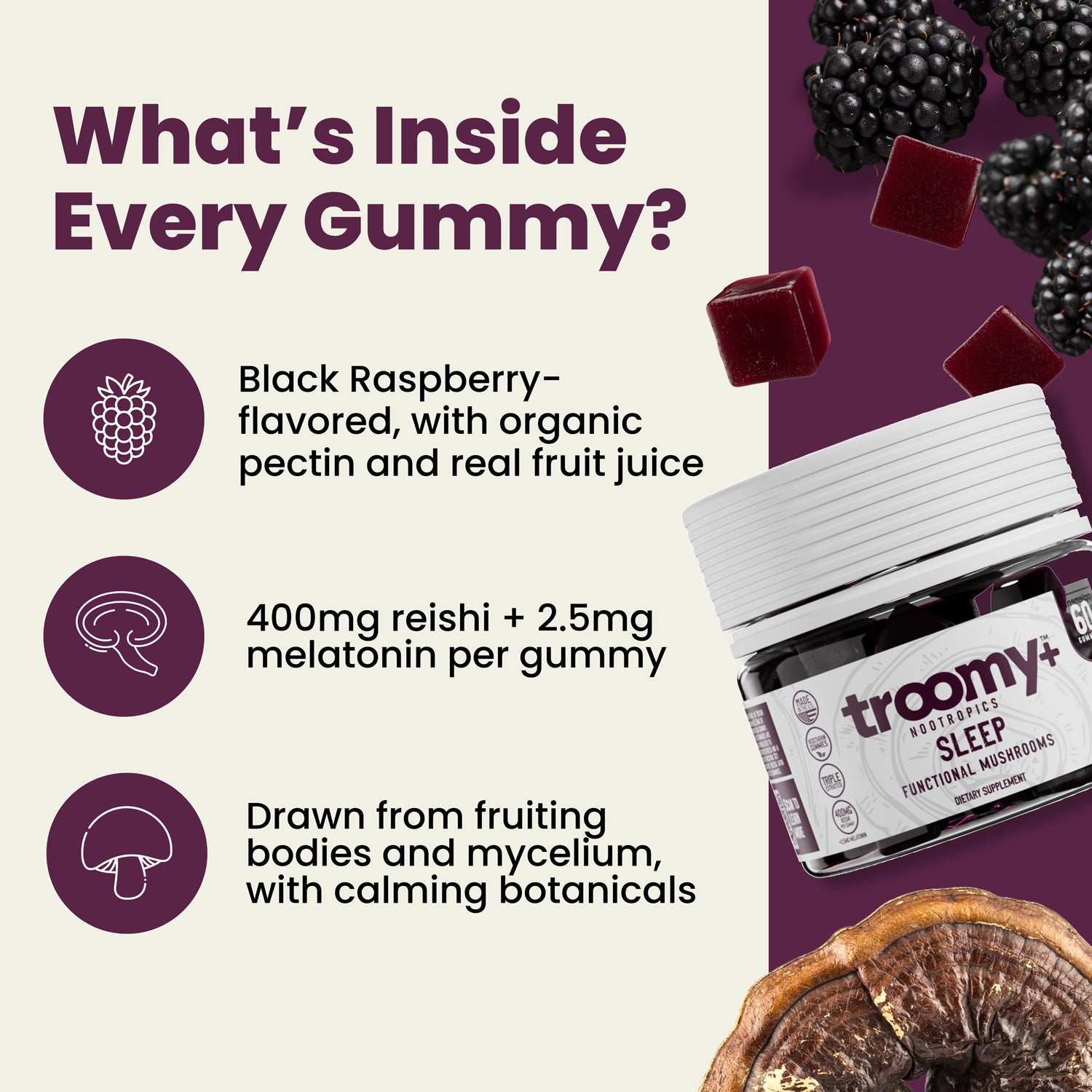 Sleep: Reishi Mushroom Gummies With Melatonin