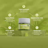 Boost - Cordyceps - Lemon Lime - Energy Support - Top Selling Points - Troomy Nootropics in Whittier, CA