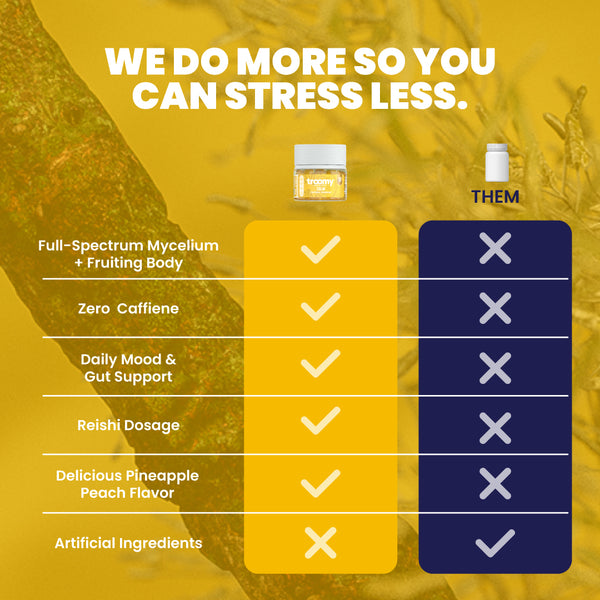 Calm - Reishi - Pineapple Peach - Stress Relief - Nootropic Product Comparison - Troomy Nootropics in Whittier, CA