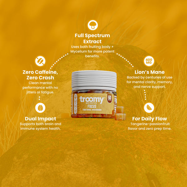 Focus - Lion’s Mane - Tangerine Passionfruit - Mental Clarity - Top Selling Points - Troomy Nootropics in Whittier, CA